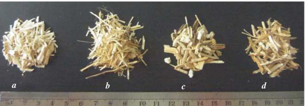 Figure 1 : Echantillons des quatre agroressources : chènevotte (a), anas de lin (b), écorce  de tournesol (c) et paille de colza (d)