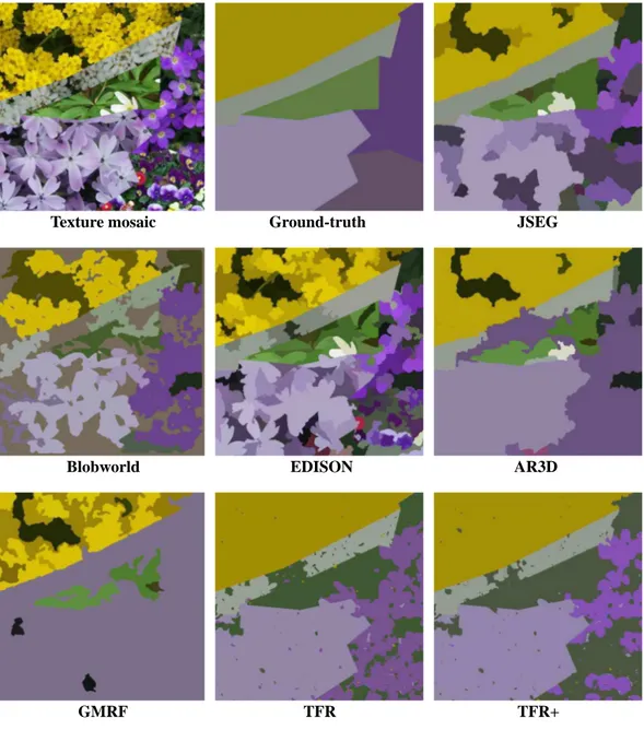 Figure 9: Texture mosaic No.12: data, ground-truth and several segmentations.