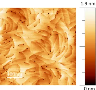 FIG. S1. 2 × 2 µm 2 AFM image of the sample discussed in the main text.
