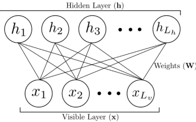 Figure 1. The structure of a restricted Boltzmann machine with L v visi- visi-ble nodes and L h hidden nodes