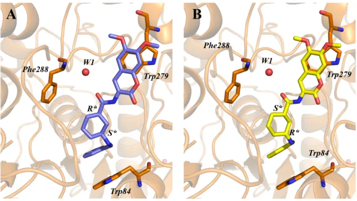 Figure 5. X-ray structure of the MC1420/TcAChE complex (PDB ID: 6TT0). Data refined for the 1R,3S-cis- 