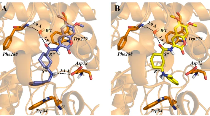 Figure 6. Top-scored docking poses for the (1R,3S)-cis- (A) and (1S,3R)-cis- (B) configurational isomers of  1 within the binding site of TcAChE