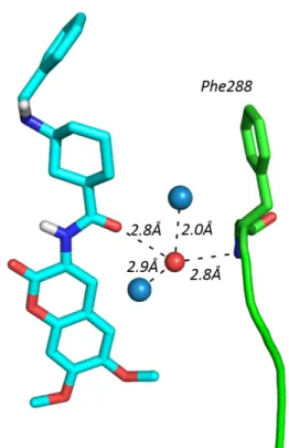 Figure S1. Water-mediated interaction of MC1420 with TcAChE. The ligand (cyan) and Phe288 (green) are 