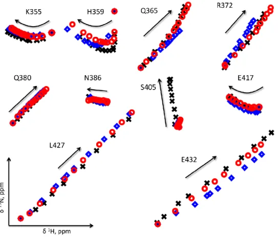 Figure S4: relates to Fig. 4. Denaturation profiles mapped as cross-peaks from  1 H- 15 N HSQC spectra  for the different Myc cysteine mutants: Q365C (blue diamonds), N386 (red circles), S405 (black  crosses)