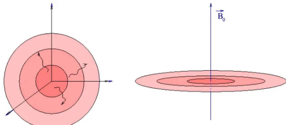 Figure 2: Comparison of the fast modes between the low Mach number limit and reduced MHD model; Left, Low Mach number limit : 3D isentropic propagation of acoustic waves; Right, reduced MHD models : 2D propagation of fast magnetosonic waves in the poloidal