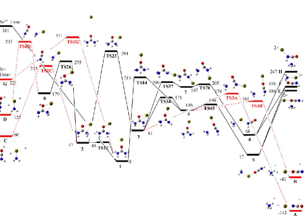Figure 3. Energy profile corresponding to  the [Sr(urea)] 2+   unimolecular fragmentation  processes