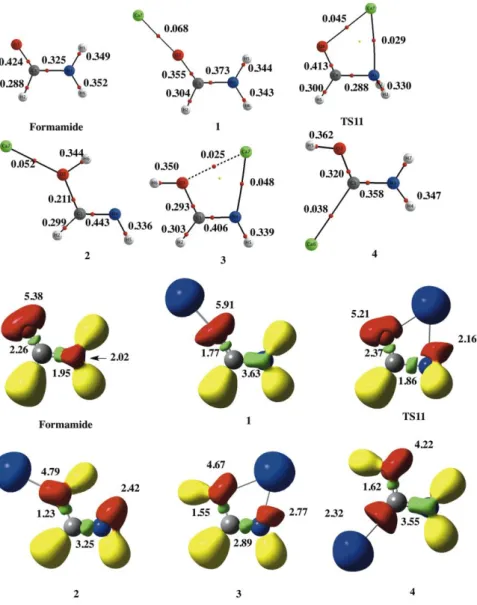 Figure 3. Molecular graphs and ELF plots for the complexes formed by the association  of  Ca 2+   to  formamide,  formimidic  acid  and  amino(hydroxy)carbene