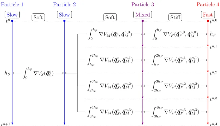 Figure 8: Asynchronous integration of four particles with a slow-fast synamics, h S = 4h F Let us now describe in more detail the asynchronous scheme over the coarse time  inter-val I n = [t n , t n+1 ]