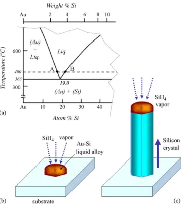 Fig.  1.  Schematic mechanism  of  the VLS  growth process: (a)   the Au–Si phase dia-  gram on the  Au-rich side