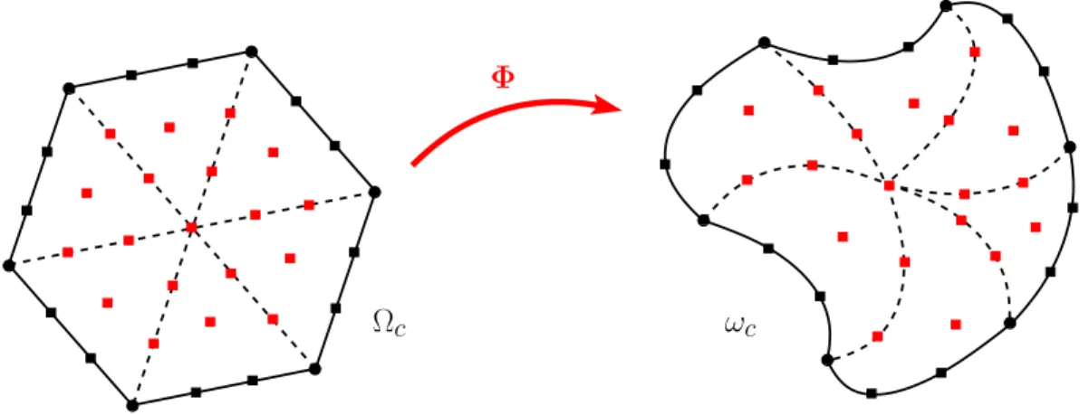 Figure 5: Transformation of Ω c to ω c through the flow. • boundary cell nodes,  boundary cell control points,  interior cell points.