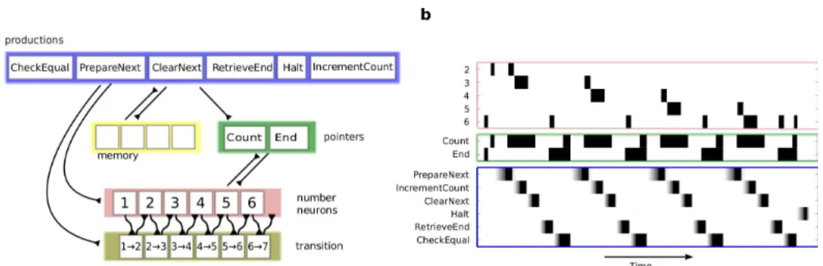 Figure 3: Sketch of the network implementing an arithmetic counter. (a) The network is divided into five sub-networks: productions, memory, pointers (or variables), numbers, and transition-networks