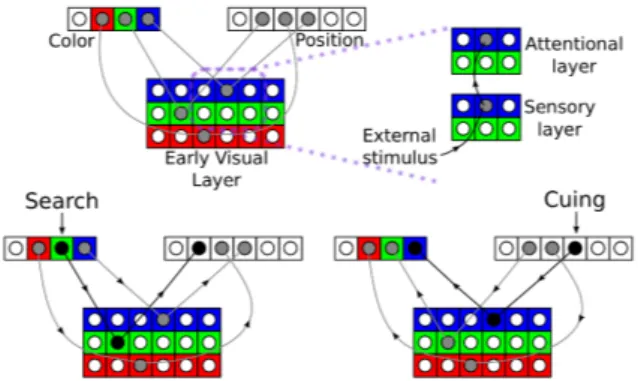 Figure 4: Simplified model of the visual system used in the blocks-world simulations. The upper portion shows the different layers and their  connec-tions