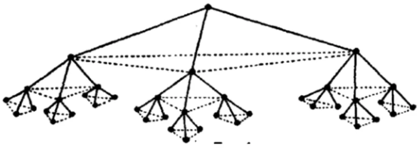 Figure 1. A pyramid of authority of 4 levels (source Polanyi, 1948, p. 248)  The total number r of connections between the nodes is given by: 