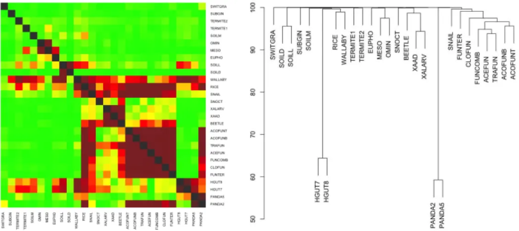 Fig. 2. Heatmap (left) and dendrogram (right) representation of the results of the comparison of 28 datasets from the IMG/M database