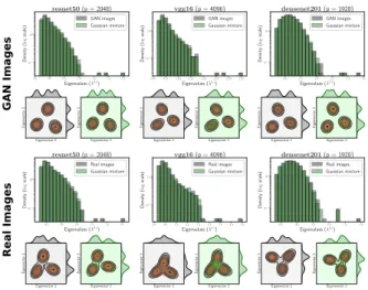 Figure 4 depicts the spectrum and leading 2D eigenspace of the Gram matrix computed on CNN representations of GAN generated and real images (in gray), and the  correspond-ing GMM model with same first and second order statistics (in green)