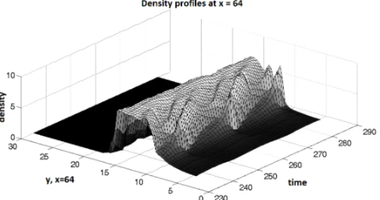 Figure 11: Time evolution of a density prole along a line parallel to the y-axis and passing the center of the rst exit (x, y) = (64, 6)