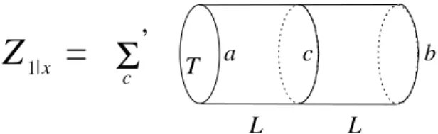 Fig 1. Partition function with the twist x = (a, b, γ) as in (5.2).