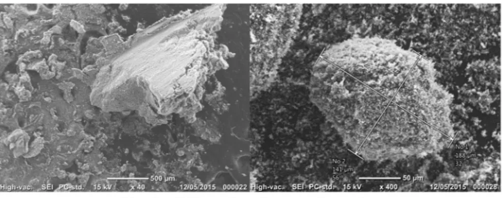 Fig. 3. SEM observations of typical large agglomerates present in the CR6 alumina raw powder.
