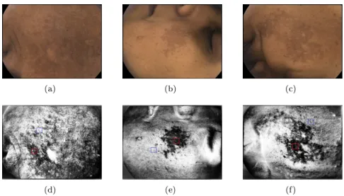 Figure 11: Images used for the global training. The rst row shows color reconstructions of the initial images
