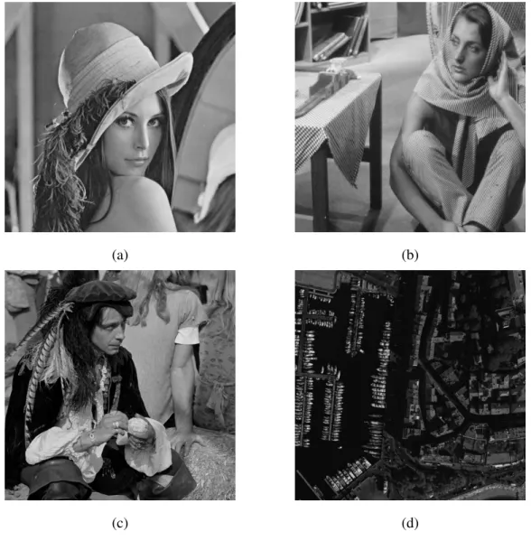 Fig. 3. Test images: (a) is Lena ( 256 × 256 pixels), (b) is Barbara ( 512 × 512 pixels), (c) is Pirate ( 1024 × 1024 pixels) and (d) is a high-dynamic range remote sensing image (12 bits) of Cannes harbour ( 1024 × 1024 pixels).