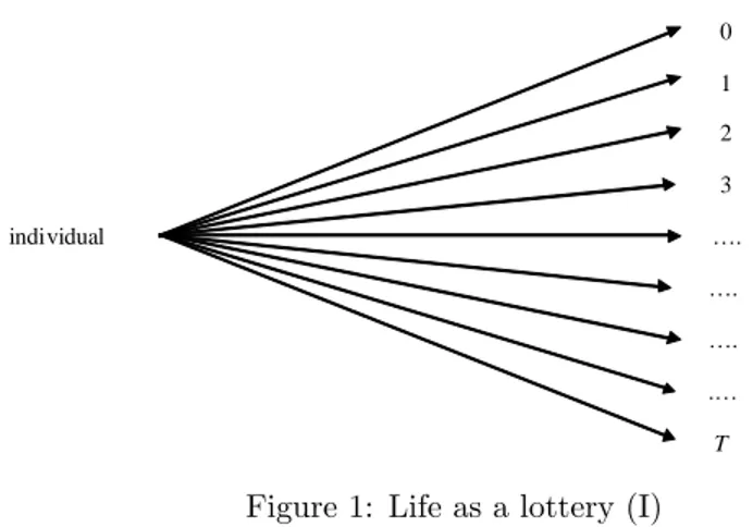 Figure 1 illustrates the lottery of life faced by a representative individual who faces T + 1 possible scenarios regarding the duration of his life