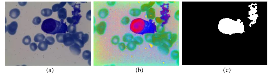 Figure 6. Example of misfiled image (a) Input image, (b) Decorrelation stretching, (c) refined  binary mask
