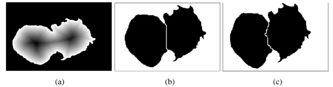 Figure 7. Distance map (a), Watershed results with the original distance map (b) and the new  marking function (c)