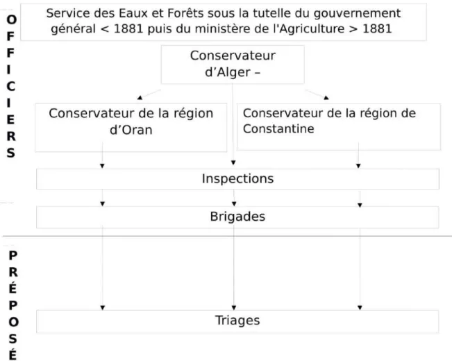 Figure 2 : Organisation du service forestier en Algérie 