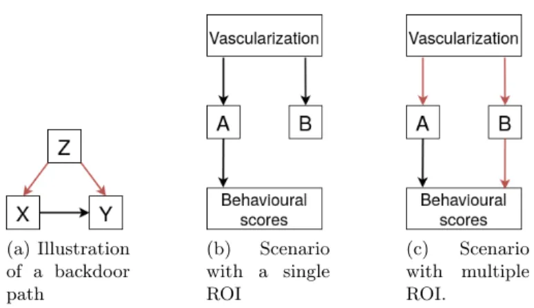 Fig. 1: The sample causal graph on the left illustrates the concept of a backdoor path
