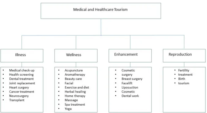 Figure  2.1 Medical and Healthcare Tourism Segments 
