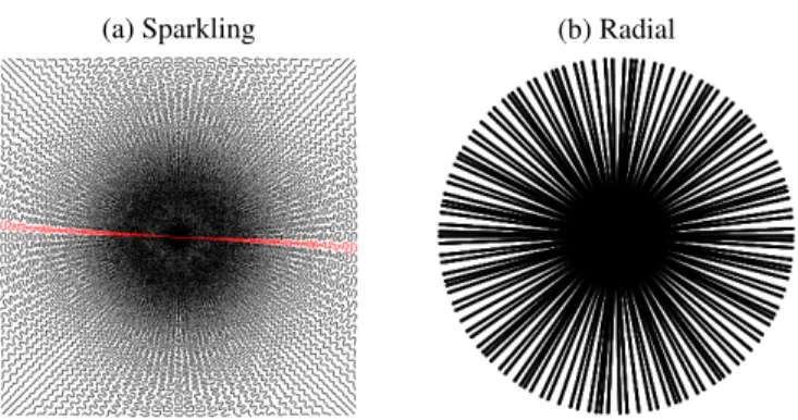 Fig. 1. Two non-Cartesian multi-shot under-sampling schemes.
