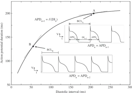 Figure 3.3  Courbe de restitution électrique cellulaire. Mise en évidence des alternances de l'APD en fonction de la pente de la courbe de restitution (extrait de [82]).