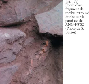 Fig. 177 :   Photo d’un  fragment de  torchis retrouvé  in situ, sur la  paroi est de  ANG-F3’02  (Photo de S