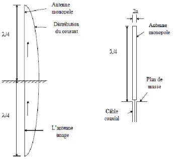 Figure 2.11 Antenne monopole quart d’onde : Antenne image et distribution du courant (à gauche)  Structure monopole pratique (à droite)