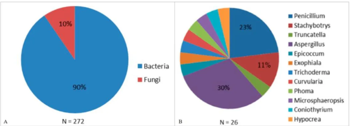Figure  1.7  Percentage  of  microorganisms  associated  with  sponges  that  produce  antimicrobial  molecules  (antibacterial,  antiviral,  antifungal,  antiprotozoal)