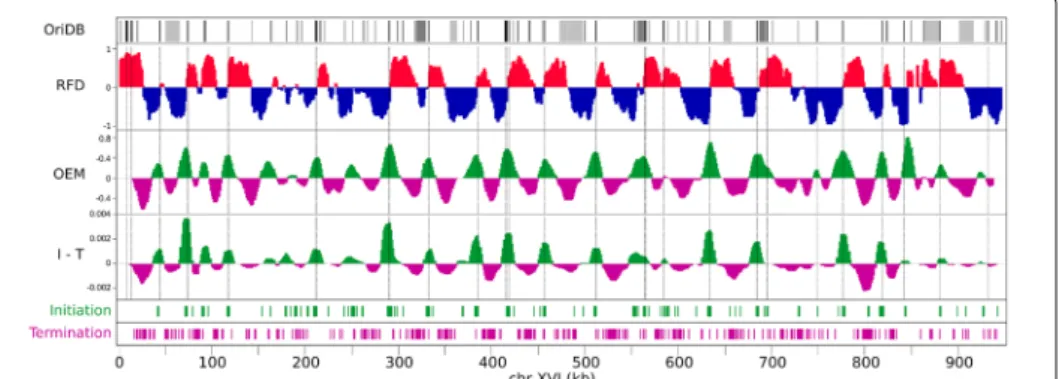 Fig. 7 Similarity of initiation minus termination efficiencies computed from the FORK-seq RFD profile or from the individual initiation and termination events