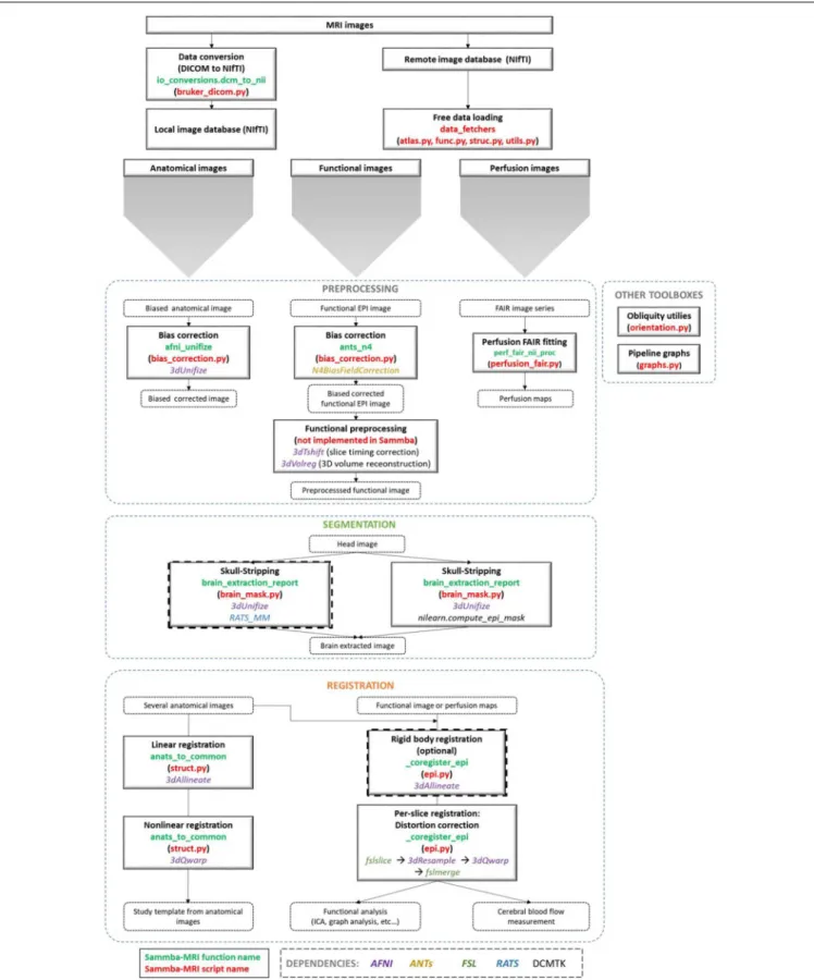 FIGURE 1 | Sammba-MRI workflow. Anatomical, functional, or perfusion images are imported from MRI local scanners or databases