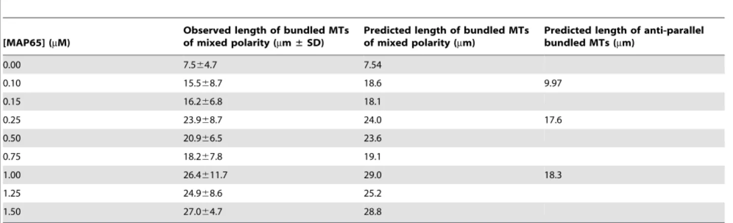 Table 4. MT length in the presence of MAP65-1.