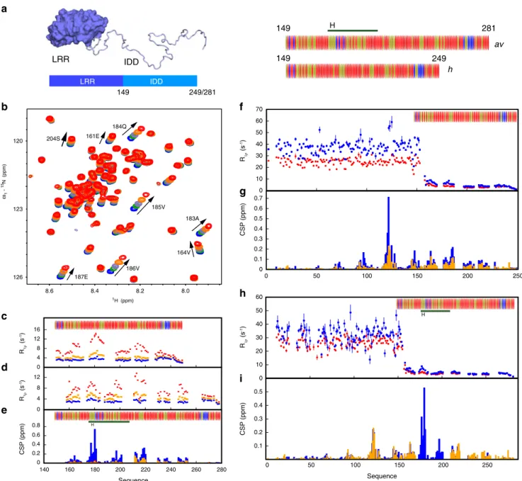 Fig. 1 NMR of ANP32A with 627-NLS reveals a highly dynamic polyvalent complex. a Representation of the domains of ANP32A