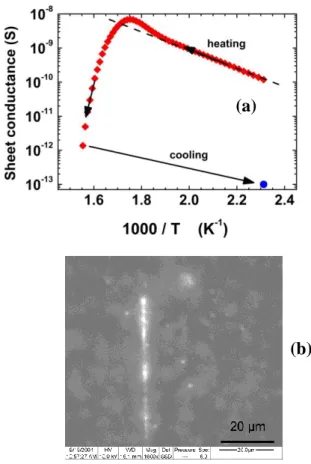Figure  6   Spontaneous cracks network in undoped sample INc,  9 µm thick, grown on a Ib substrate