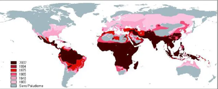 Figure 4 : Distribution du paludisme dans le monde de 1900 à 2002 (d'après Hay et al.,  2004) 