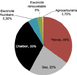 Figure 13 : Répartition de la consommation primaire mondiale par type d'énergie en 2012   Source : MOOC Développement durable, sous la direction de Pascal da Costa, Ecole Centrale Paris, 2015 