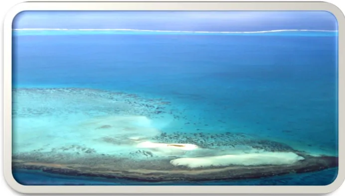 Figure 1 : La barrière de corail de Nouvelle-Calédonie   Photo : Alix Willemez 