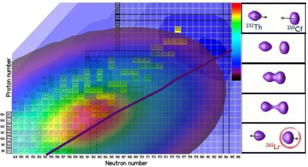 Figure 13. (right) Snapshots of the isodensity at half the saturation density in 232 Th+ 250 Cf central collisions at E c.m