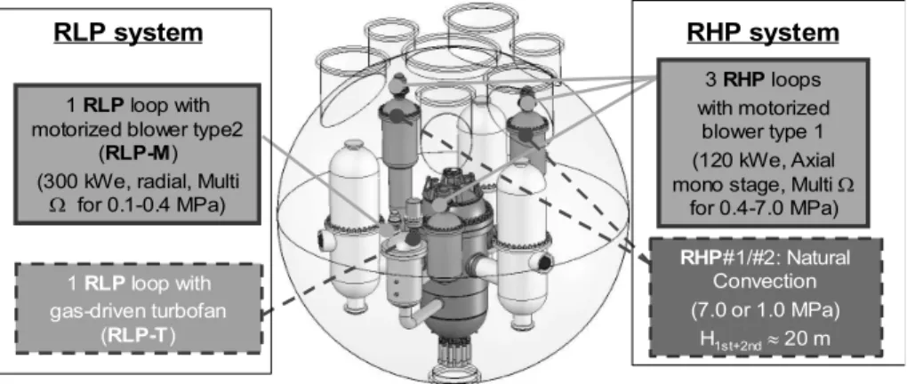 Figure  2.  arrangement of the GFR primary circuit components (RHP: high pressure DHR loops; 