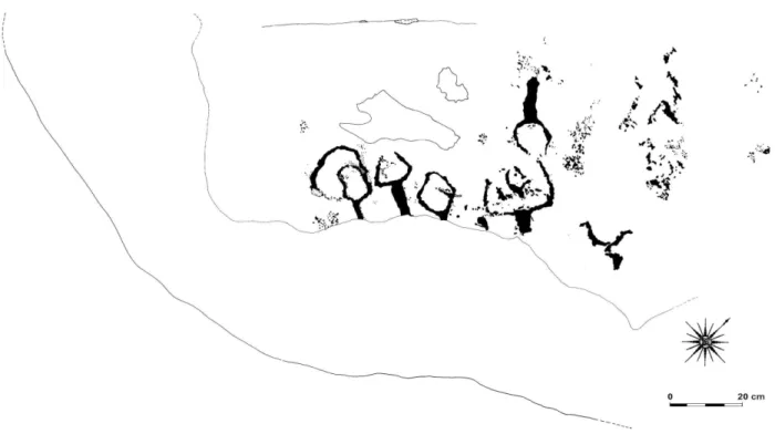 Figure 6. Gravures à l'entrée du gias del Ciari   ZI.GII.R11 face a .