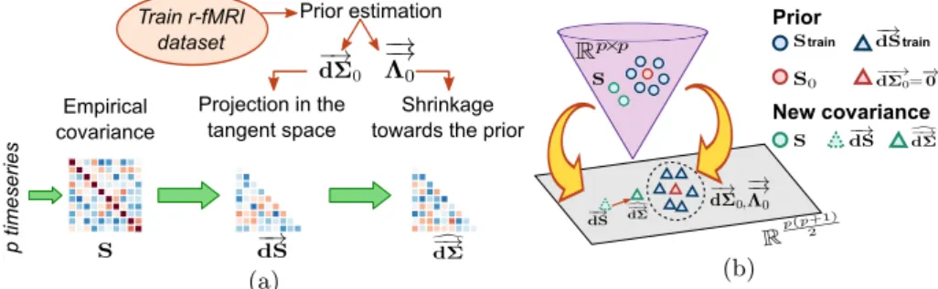 Fig. 1. (a) Shrunk embedding estimation workflow: the empirical covariance is esti- esti-mated from r-fMRI time-series; it is projected onto a tangent space built from a prior population; the embedding is then shrunk towards the prior ( −→