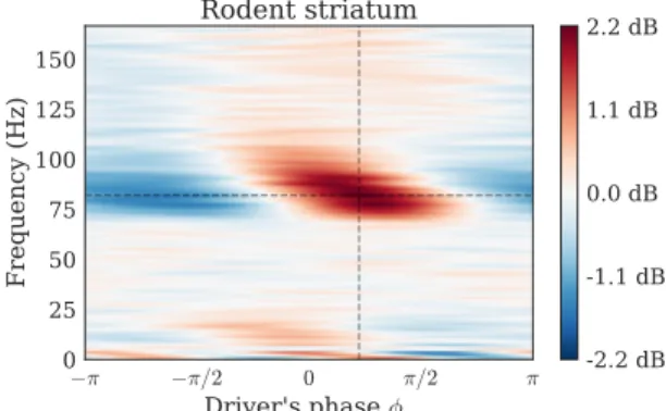 Fig. 1. Driven power spectral density of a DAR model fitted on electrophysiology data