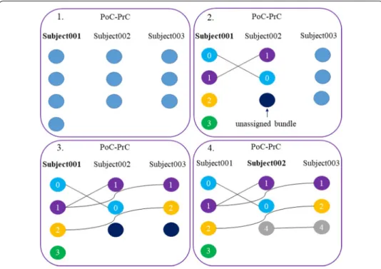 Figure 15 shows an example scheme of the algorithm for three subjects and the bundles  connecting PoC-PrC regions