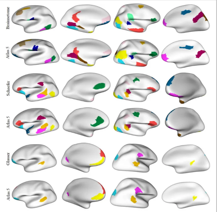 FIGURE 8 | Parcels in common between atlas 5 parcellation and some parcellations based on different MRI modalities, with Dice coefficient ≥0.6
